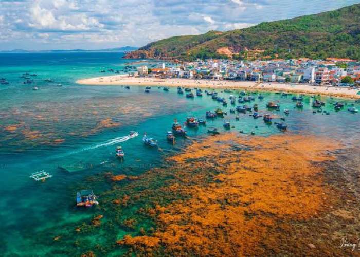 HÀ NỘI - QUY NHƠN - PHÚ YÊN | THIÊN ĐƯỜNG BIỂN 4N3Đ